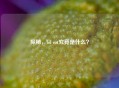 探秘，lol cat究竟是什么？