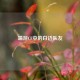 端游CF中的白边队友