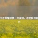 探秘王者荣耀神梦一刀视频，感受极致游戏魅力