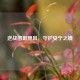 逆战围剿飓风，守护安宁之境