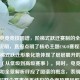 CSGO电竞竞技图谱，阶梯式跃迁赛制的全景解析，说明，直接点明了核心主题CSGO赛程赛制，用阶梯式跃迁形象化地体现了层层展开的递进关系（从低级到高级赛事）。同时，电竞竞技图谱和全景解析呼应了图谱的概念，表明内容是对整个赛事体系结构的全面梳理和解释。