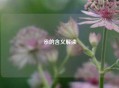 尜的含义解读