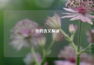 尜的含义解读