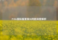 PUBG国际服重复ID问题深度解析