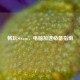 畅玩Steam，电脑加速必备指南
