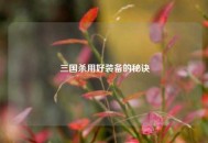 三国杀用好装备的秘诀