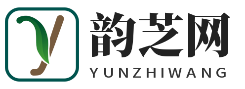 韵芝网