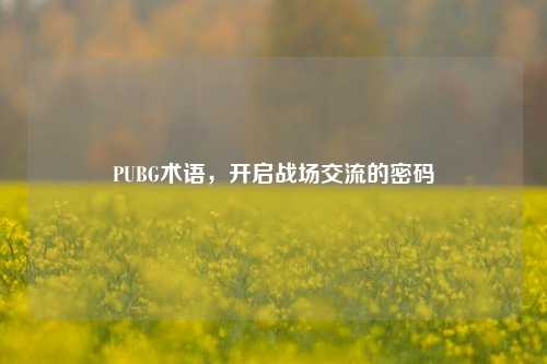 PUBG术语,开启战场交流的密码