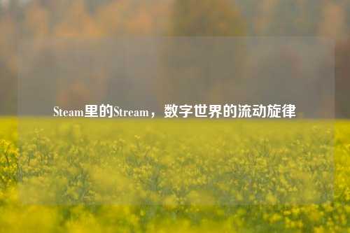 Steam里的Stream,数字世界的流动旋律
