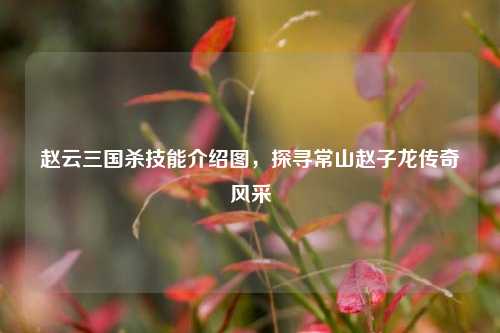赵云三国杀技能介绍图,探寻常山赵子龙传奇风采