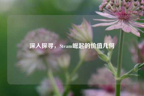 深入探寻,Steam崛起的价值几何