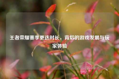 王者荣耀赛季更迭时长,背后的游戏发展与玩家体验