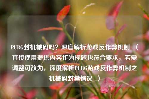 PUBG封机械码吗?深度解析游戏反作弊机制 (直接使用提供内容作为标题也符合要求,若需调整可改为,深度解析PUBG游戏反作弊机制之机械码封禁情况 )