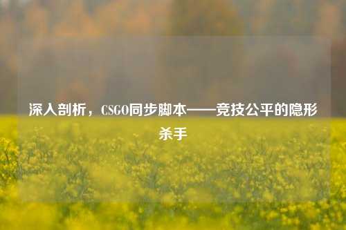 深入剖析,CSGO同步脚本——竞技公平的隐形杀手