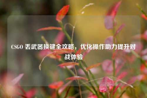 CSGO 丢武器换键全攻略,优化操作助力提升对战体验