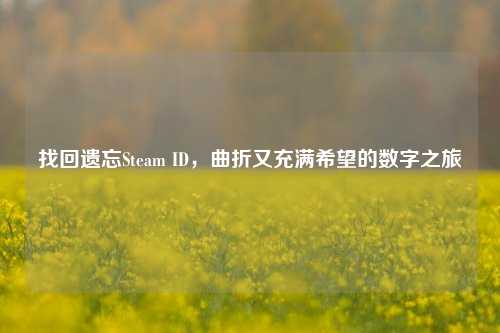 找回遗忘Steam ID,曲折又充满希望的数字之旅