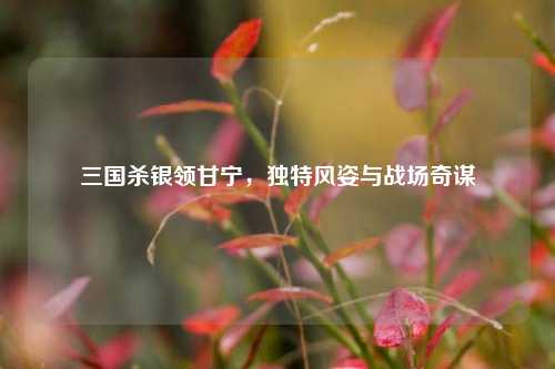 三国杀银领甘宁,独特风姿与战场奇谋