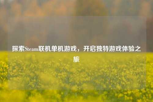 探索Steam联机单机游戏,开启独特游戏体验之旅