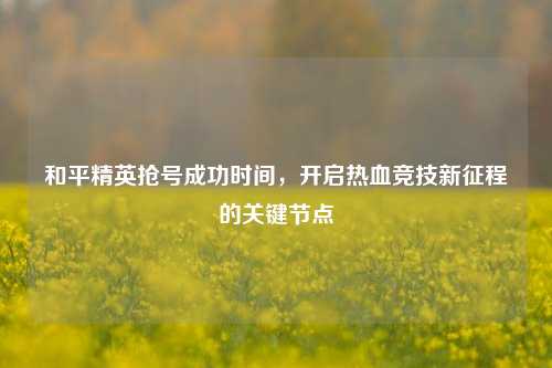 和平精英抢号成功时间,开启热血竞技新征程的关键节点