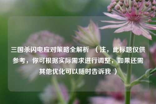 三国杀闪电应对策略全解析 (注,此标题仅供参考,你可根据实际需求进行调整,如果还需其他优化可以随时告诉我 )