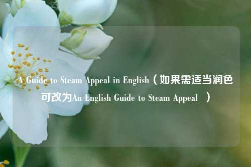 A Guide to Steam Appeal in English(如果需适当润色可改为An English Guide to Steam Appeal )