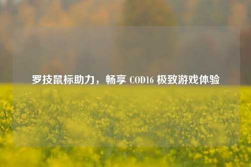 罗技鼠标助力,畅享 COD16 极致游戏体验