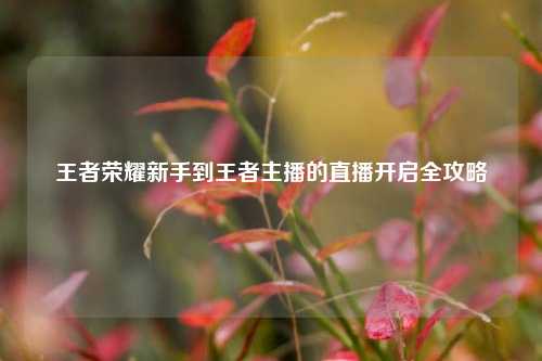 王者荣耀新手到王者主播的直播开启全攻略