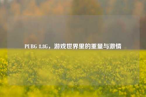 PUBG 8.8G,游戏世界里的重量与***