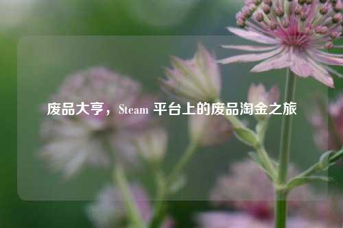 废品大亨,Steam 平台上的废品淘金之旅