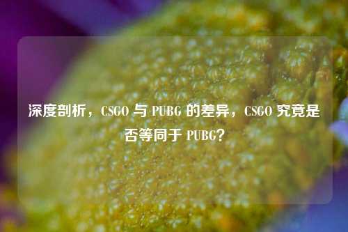 深度剖析,CSGO 与 PUBG 的差异,CSGO 究竟是否等同于 PUBG?