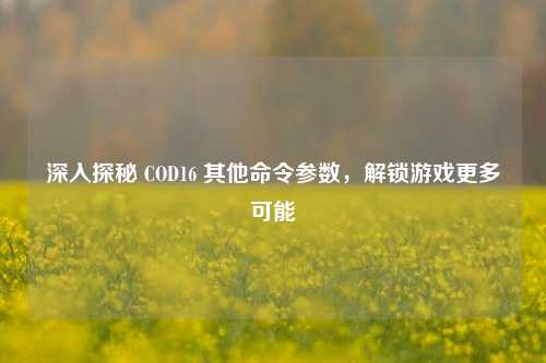 深入探秘 COD16 其他命令参数,解锁游戏更多可能
