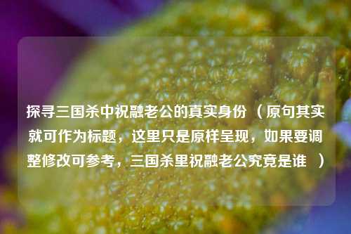 探寻三国杀中祝融老公的真实身份 (原句其实就可作为标题,这里只是原样呈现,如果要调整修改可参考,三国杀里祝融老公究竟是谁 )