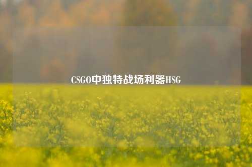 CSGO中独特战场利器HSG