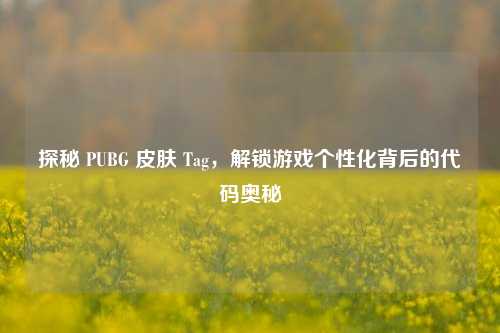 探秘 PUBG 皮肤 Tag,解锁游戏个性化背后的代码奥秘