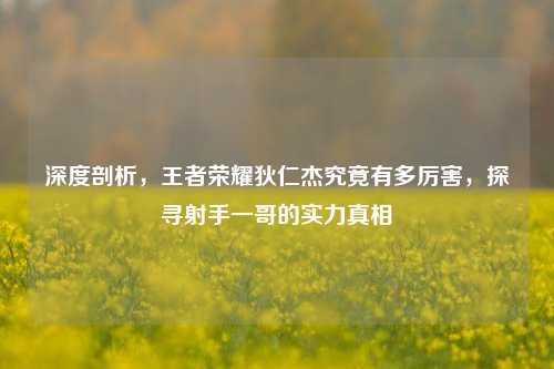 深度剖析,王者荣耀狄仁杰究竟有多厉害,探寻射手一哥的实力真相