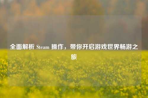 全面解析 Steam 操作,带你开启游戏世界畅游之旅