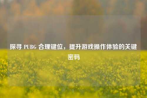 探寻 PUBG 合理键位,提升游戏操作体验的关键密码