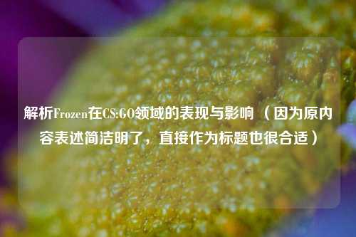 解析Frozen在CS:GO领域的表现与影响 (因为原内容表述简洁明了,直接作为标题也很合适)