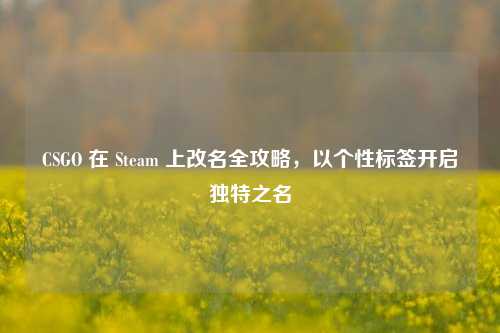 CSGO 在 Steam 上改名全攻略,以个性标签开启独特之名