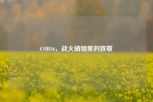 COD16,战火硝烟里的致敬