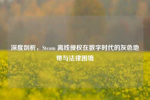 深度剖析,Steam 离线侵权在数字时代的灰色地带与法律困境
