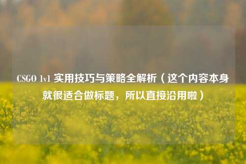 CSGO 1v1 实用技巧与策略全解析(这个内容本身就很适合做标题,所以直接沿用啦)