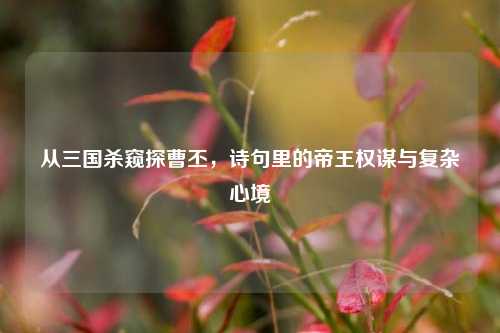 从三国杀窥探曹丕,诗句里的帝王权谋与复杂心境