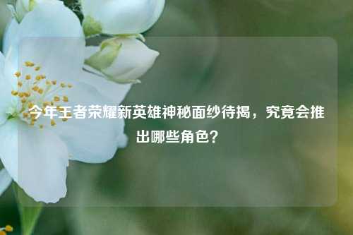 今年王者荣耀新英雄神秘面纱待揭,究竟会推出哪些角色?