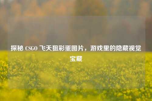 探秘 CSGO 飞天狙彩蛋图片,游戏里的隐藏视觉宝藏
