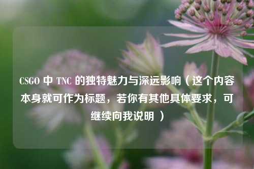 CSGO 中 TNC 的独特魅力与深远影响(这个内容本身就可作为标题,若你有其他具体要求,可继续向我说明 )