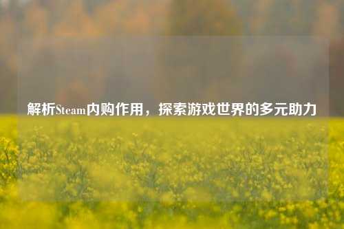 解析Steam内购作用,探索游戏世界的多元助力