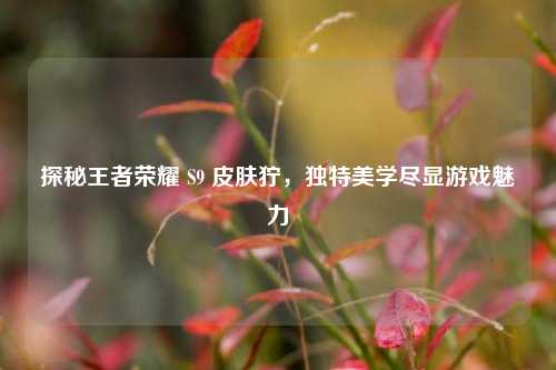 探秘王者荣耀 S9 皮肤狞,独特美学尽显游戏魅力