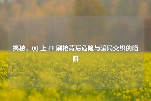 揭秘, *** 上 CF 刷枪背后危险与骗局交织的陷阱