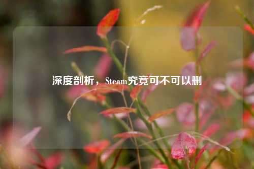 深度剖析,Steam究竟可不可以删